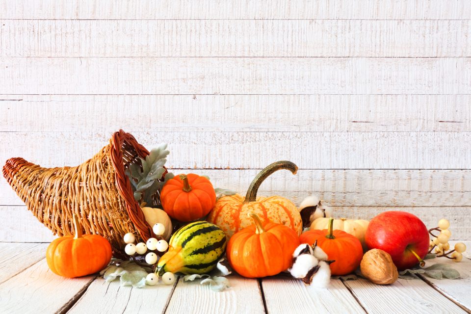 Thanksgiving cornucopia filled with autumn vegetables and pumpkins against a rustic white wood background